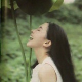梦里说梦