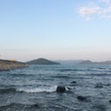 贱贱茶馆
