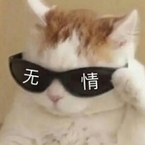 坦克手贝塔
