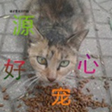 好源心宠