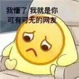 19世纪网民