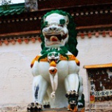 懒懒