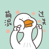 半个专家