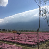 好像要下雨