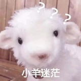 火锅不夺人所爱