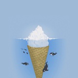 陆尔尔