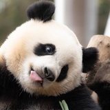 阿焱