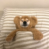 Ni