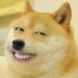 世界和平靠戒撸