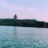 情理人生