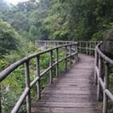 爱你的两年