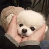 是我的脑子有
