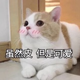 Isabella猫不猫