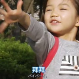 真心勿错付