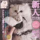 甜品美喵