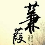 蒹葭雪
