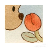 eel_noyi