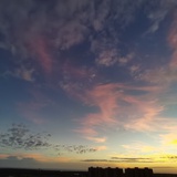 随波逐流吖