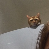 栋梁的姐姐