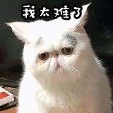我没有胖嘟嘟
