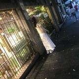 半透明的平淡