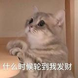 Panda甜甜圈