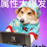 冬日冰酿