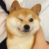 达西