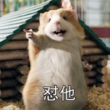 咸味司考其