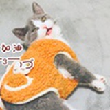 花臂大姐