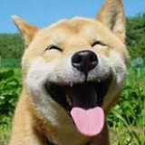 言蹊