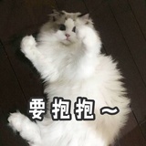 江湖骗子 👻