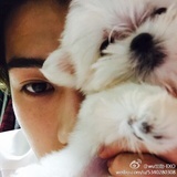 xiaohsehun