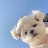 同一个人失望
