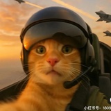 注销中