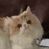 许生先