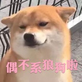 美山