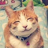 柒小懿