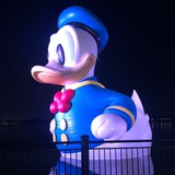 The9-未注销