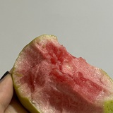 扯电线篇