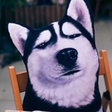 BensonLaur