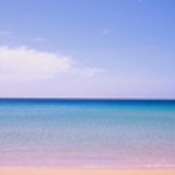 海澍