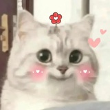 唐伯虎电蚊香