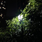 晴天阴天下雨天