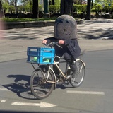 凶狠小狗