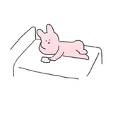 Miya