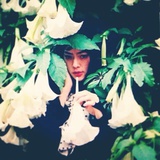 phantom lady