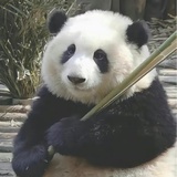 lala小姐