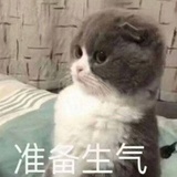 薄荷巧克力