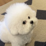 我是龙渊送我